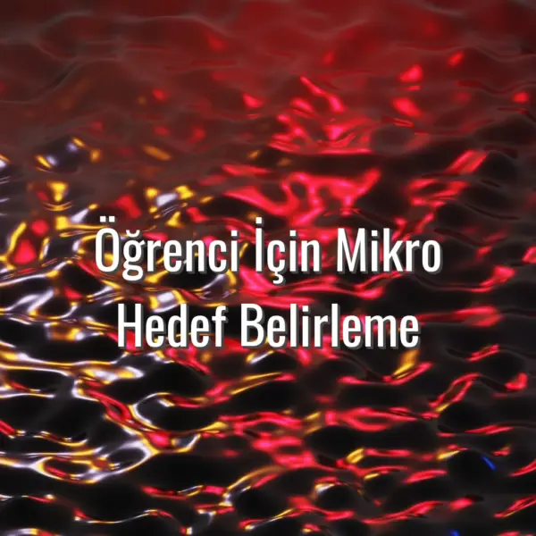 Öğrenci İçin Mikro Hedef Belirleme - öğrenci mikro hedefler