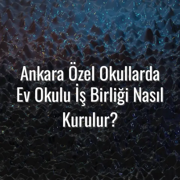 Ankara Özel Okullarda Ev Okulu İş Birliği Nasıl Kurulur? - Ankara özel okul ev iş birliği