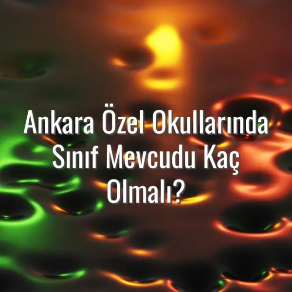 Ankara Özel Okullarında Sınıf Mevcudu Kaç Olmalı? - Ankara özel okullarında sınıf mevcudu