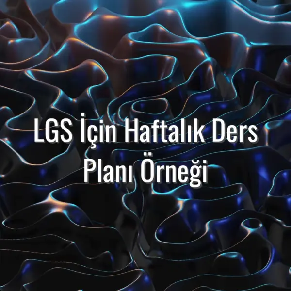 LGS İçin Haftalık Ders Planı Örneği - LGS haftalık ders planı
