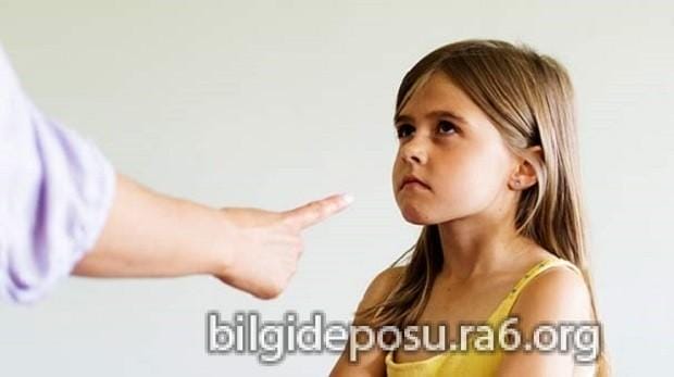 - Bilgideposu