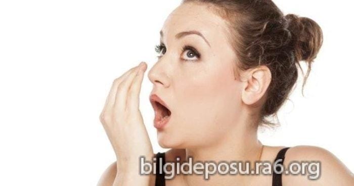 - Bilgideposu - Bilgideposu