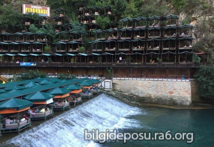 - Bilgideposu