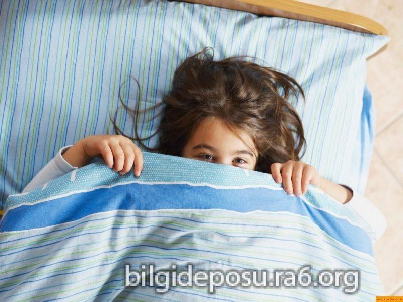 - Bilgideposu - Bilgideposu
