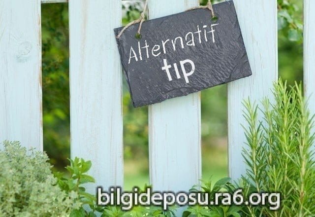 - Bilgideposu