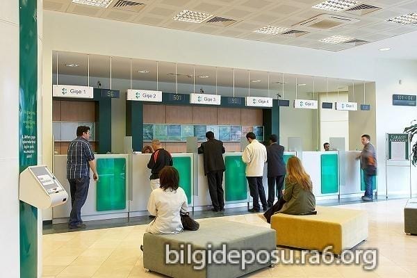- Bilgideposu