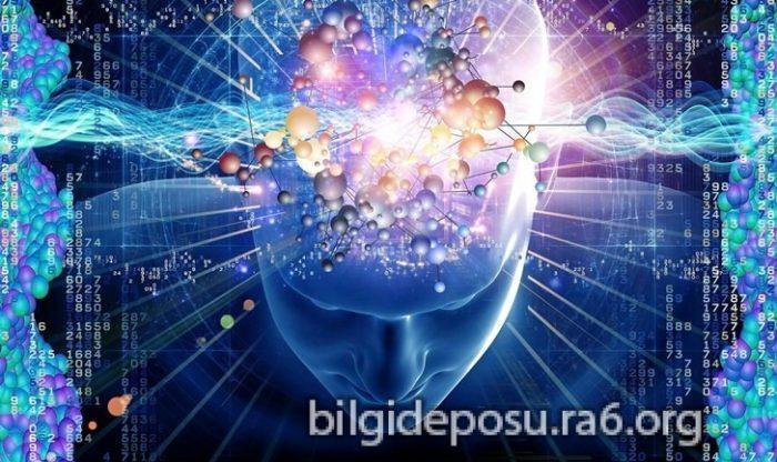 - Bilgideposu