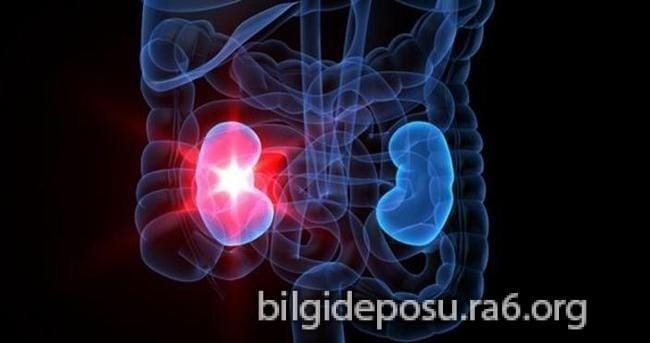 - Bilgideposu - Bilgideposu