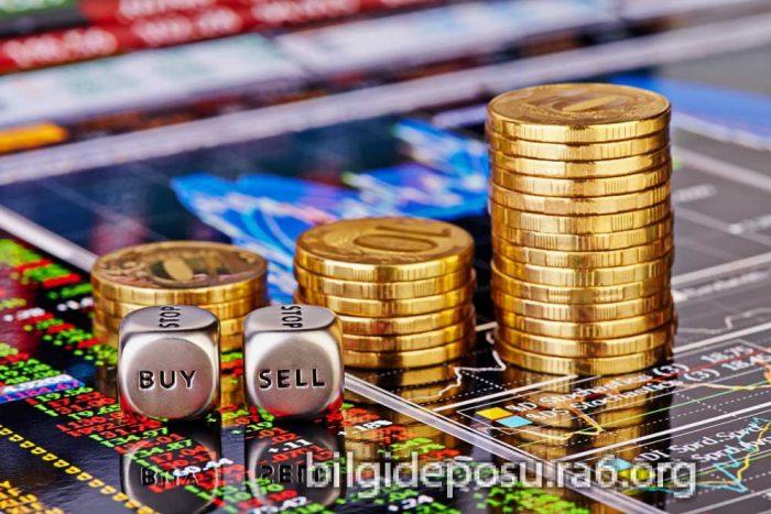 - Bilgideposu