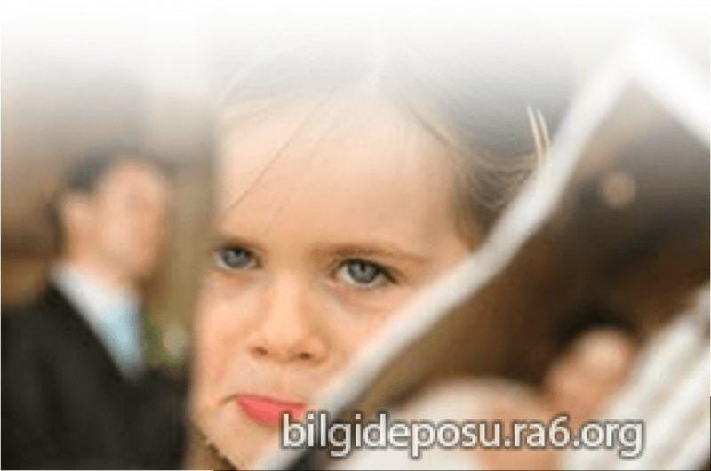 - Bilgideposu