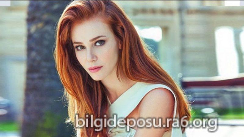 - Bilgideposu - Bilgideposu