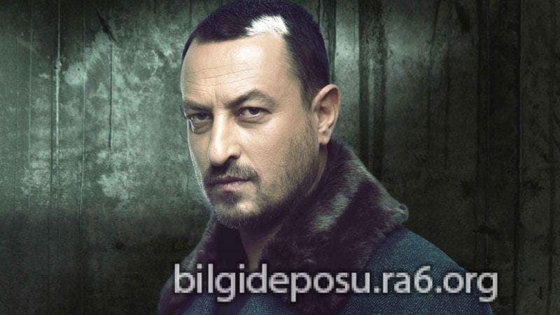 - Bilgideposu