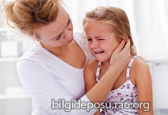 - Bilgideposu