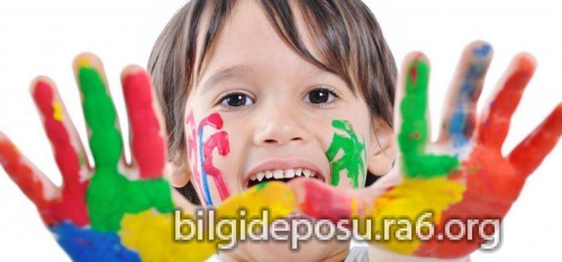 - Bilgideposu
