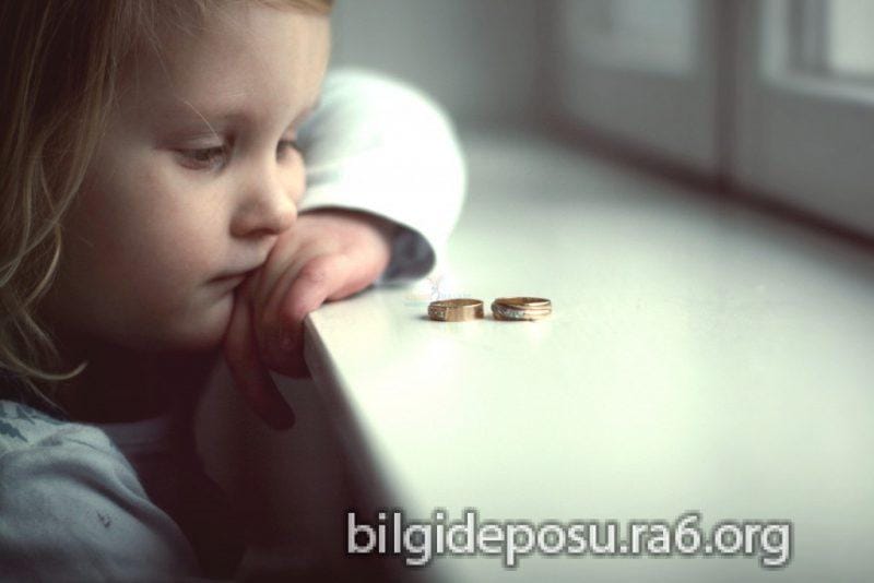 - Bilgideposu
