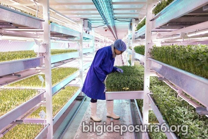 - Bilgideposu - Bilgideposu
