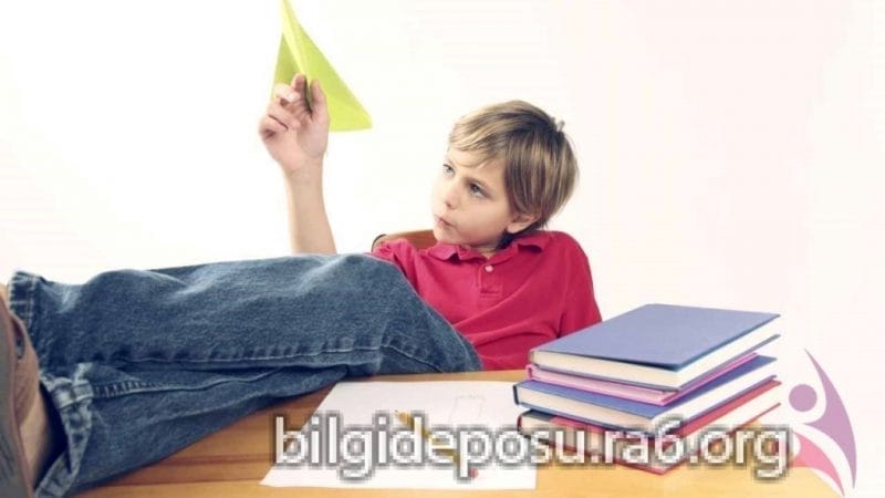 - Bilgideposu