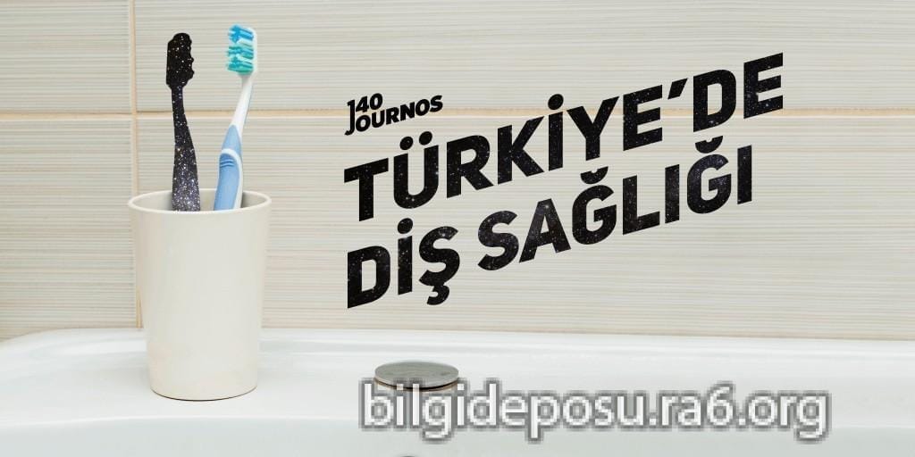 - Bilgideposu