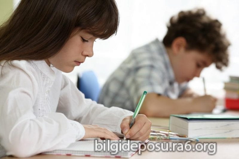 - Bilgideposu