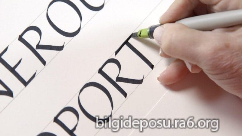 - Bilgideposu