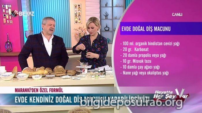 - Bilgideposu