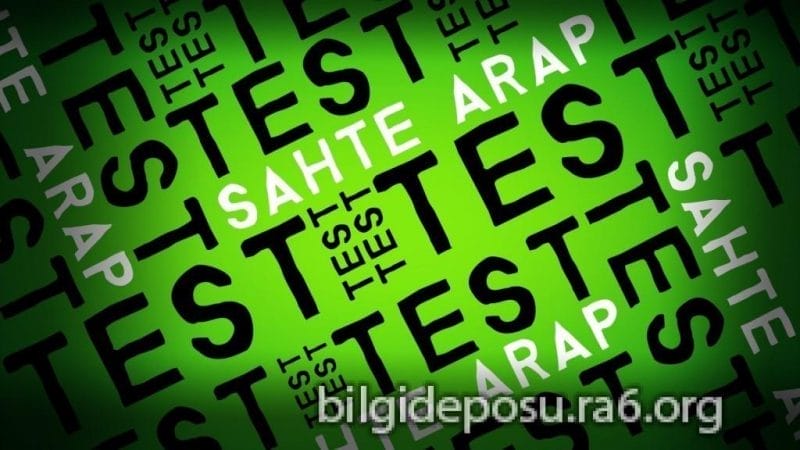 - Bilgideposu