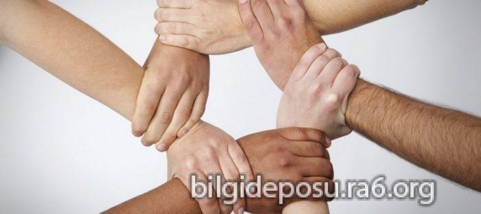 Grup çalışmasının önemi ve çocuklara faydaları