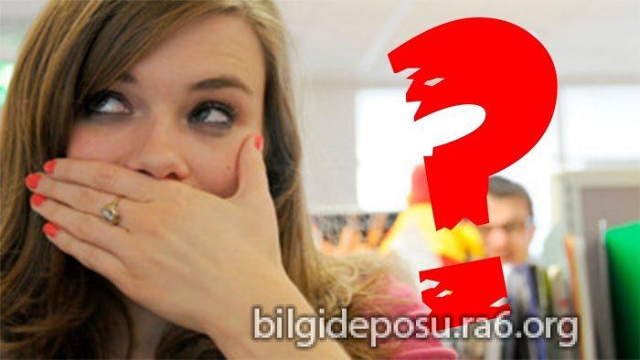 - Bilgideposu