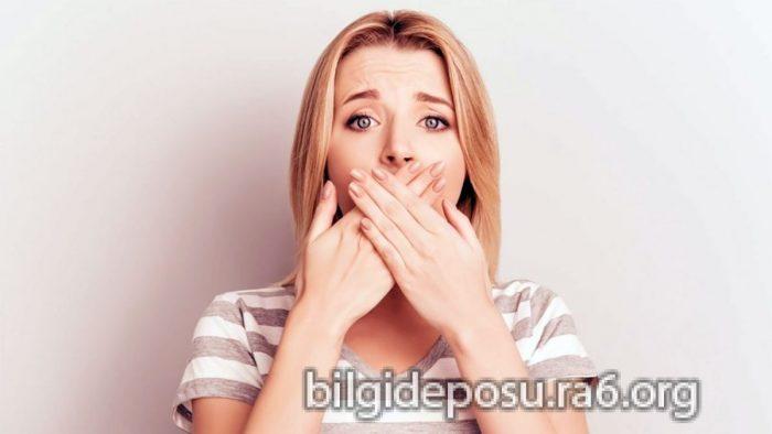 - Bilgideposu
