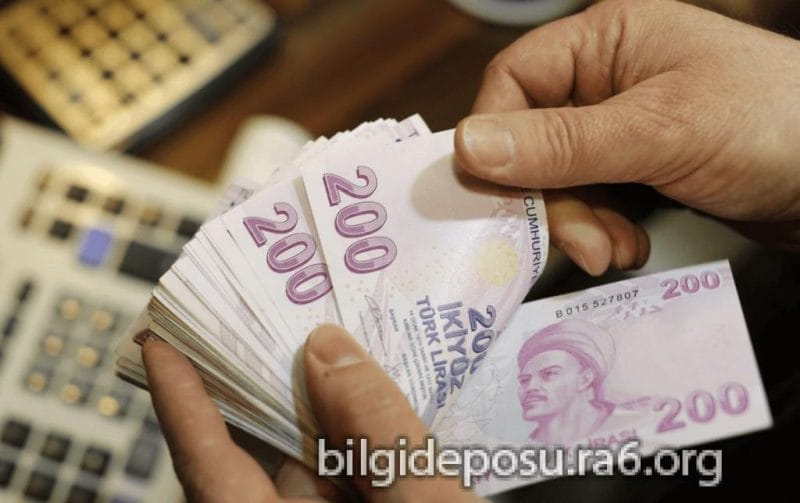 - Bilgideposu