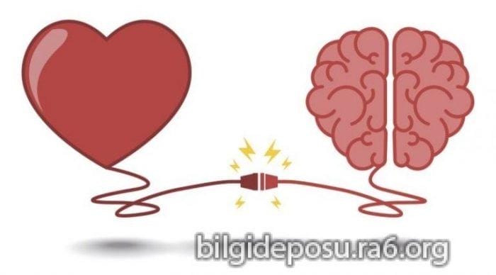 - Bilgideposu - Bilgideposu