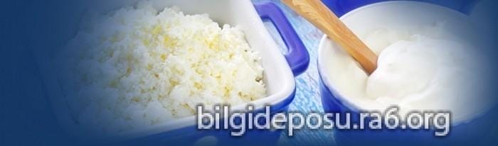 - Bilgideposu Kefir Mayalama