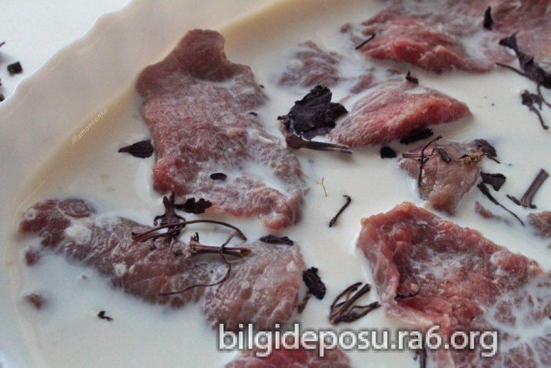 - Bilgideposu