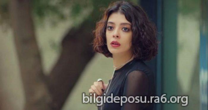 - Bilgideposu