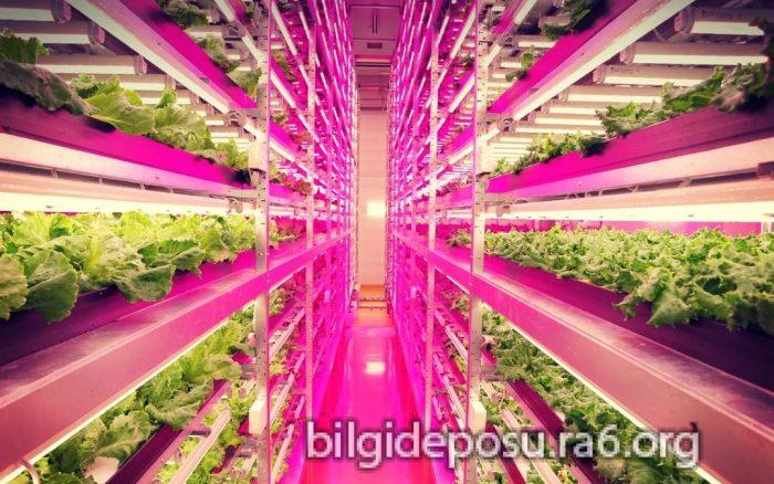 - Bilgideposu - Bilgideposu