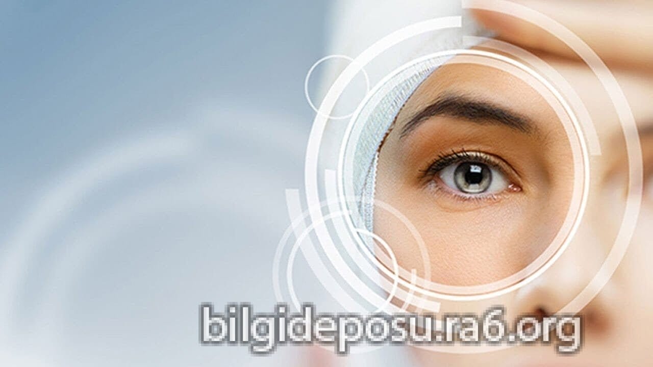 - Bilgideposu