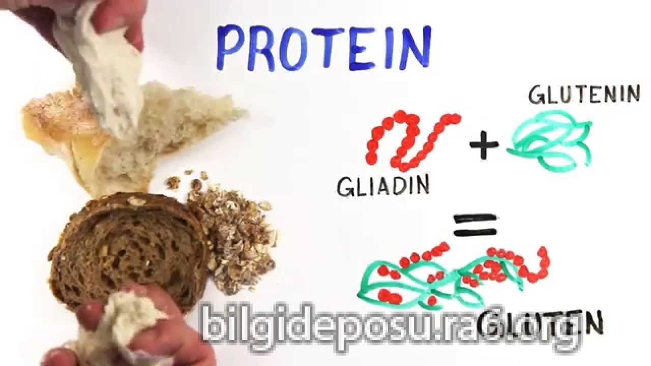 - Bilgideposu
