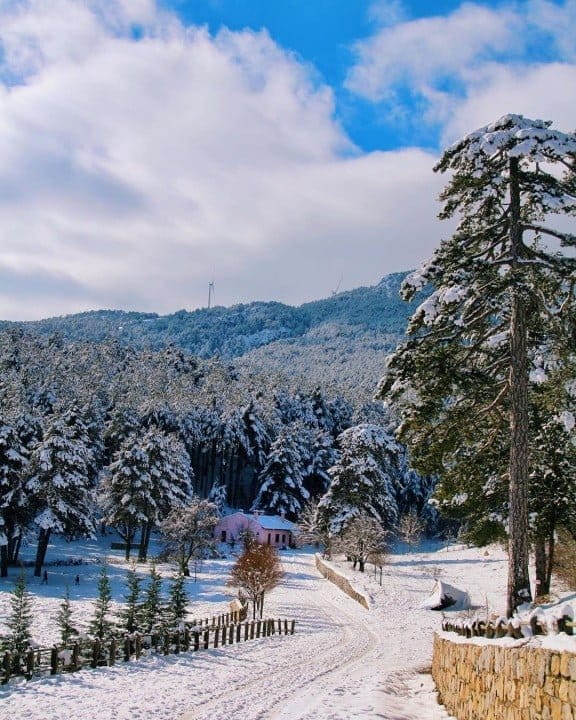 Muğla Yılanlı Dağ