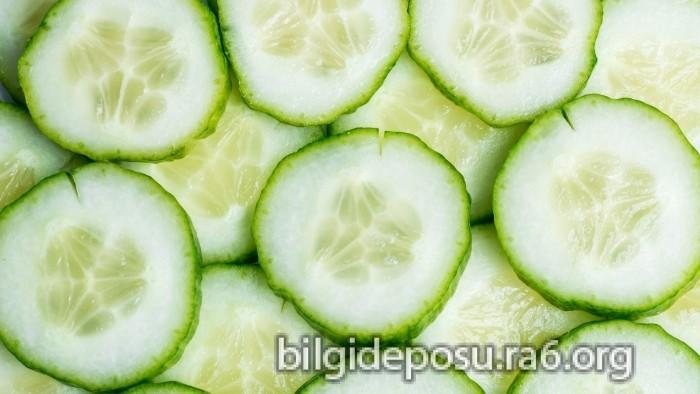 - Bilgideposu