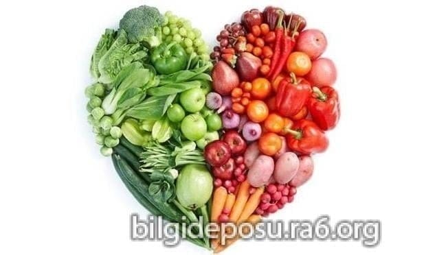 - Bilgideposu - Bilgideposu