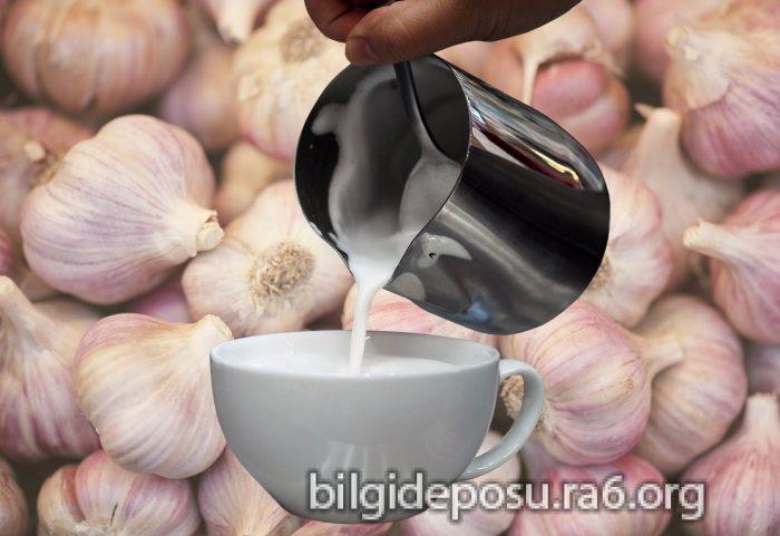- Bilgideposu - Bilgideposu