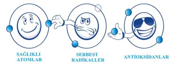 Serbest radikallet vs Antioksidanlar