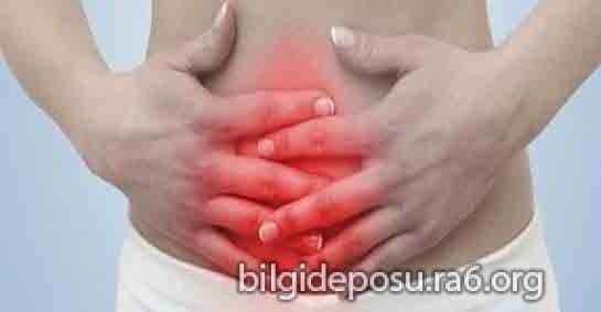 - Bilgideposu - Bilgideposu
