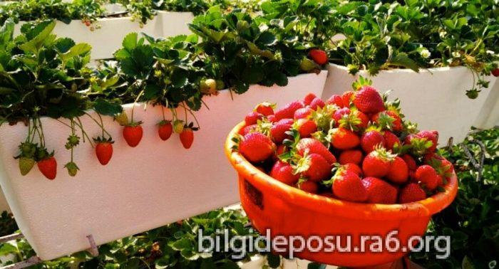 - Bilgideposu - Bilgideposu