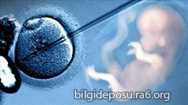 Tüp bebek nasıl yapılıyor?