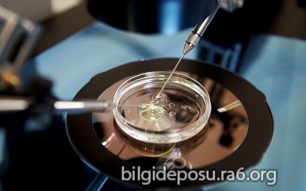 Tüp Bebek tedavisi aşamaları