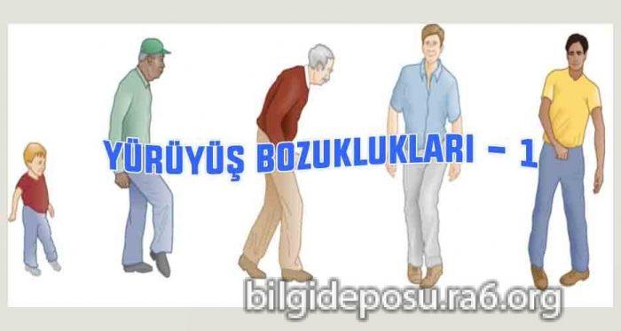 - Bilgideposu - Bilgideposu