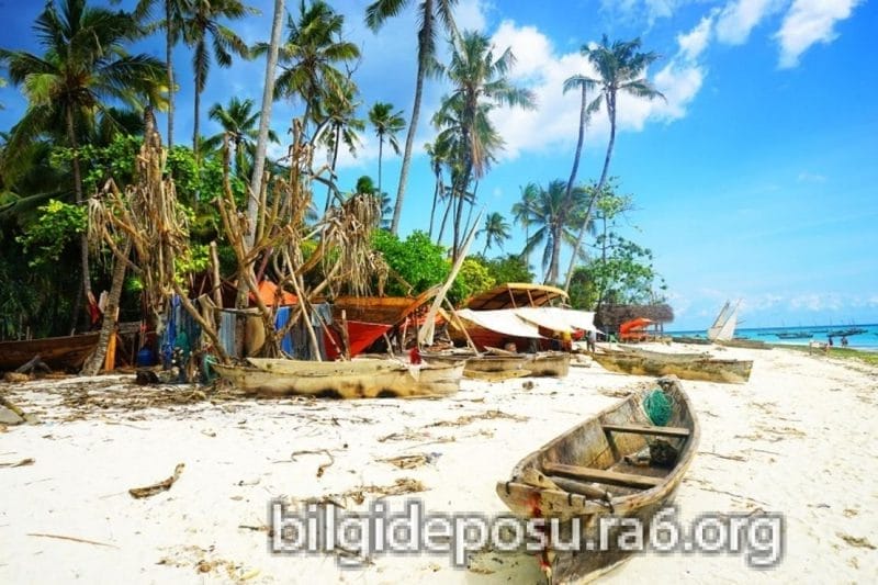 - Bilgideposu Zanzibar Tazmanyada Balayı