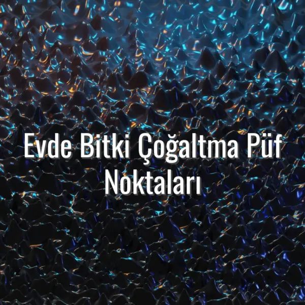 Evde Bitki Çoğaltma Püf Noktaları - evde bitki çoğaltma püf noktaları