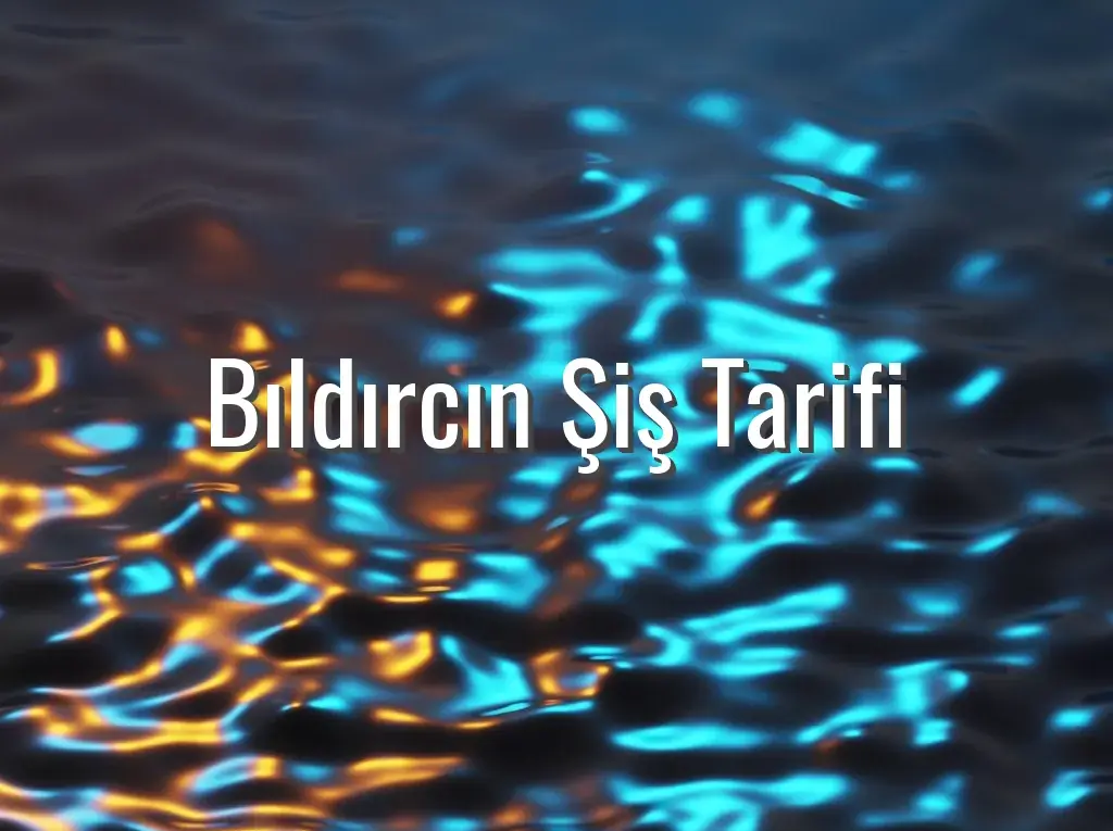 Bıldırcın Şiş Tarifi